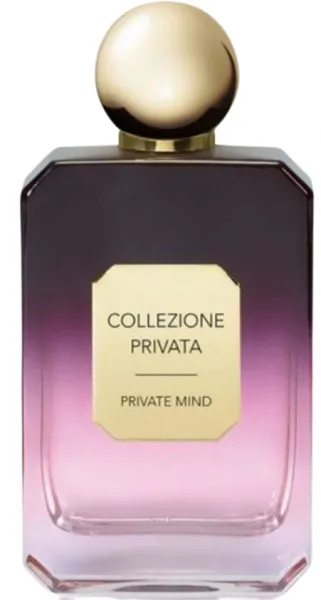 Valmont Private Mind EDP 100 ml Unisex Parfüm