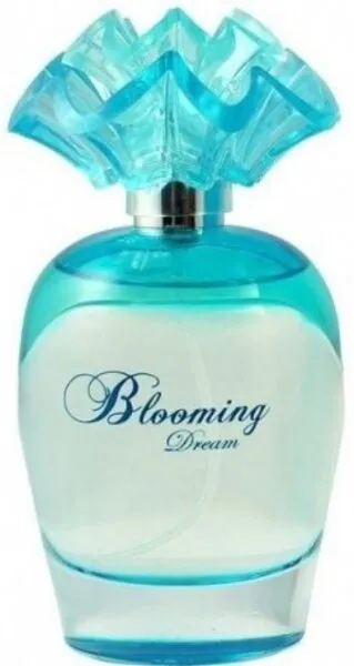 Versailles Beaute Blooming Dream EDP 100 ml Kadın Parfümü