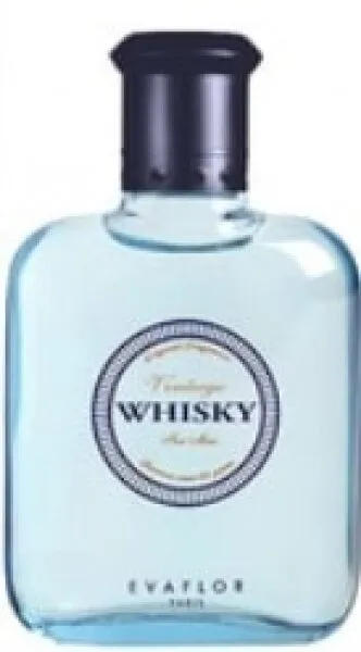 Whisky Vintage Evaflor EDT 100 ml Erkek Parfümü