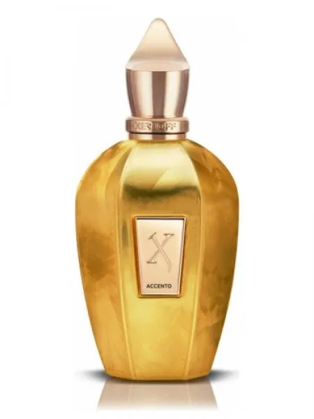 Xerjoff Accento Overdose EDP 100 ml Unisex Parfüm