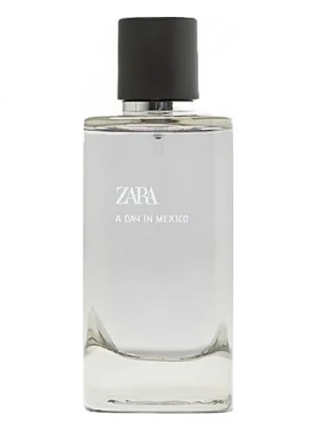 Zara A Day In Mexico EDP 120 ml Erkek Parfümü