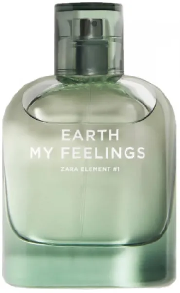 Zara Earth My Feelings EDT 80 ml Erkek Parfümü