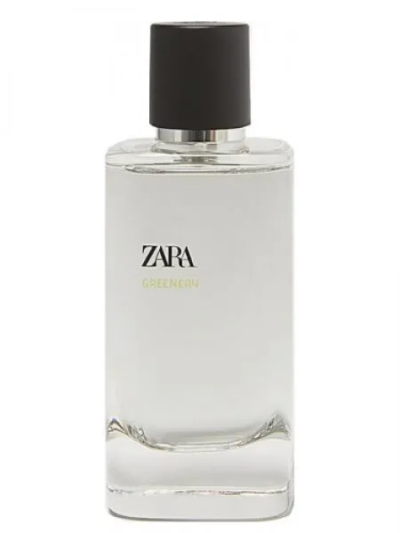Zara Greenery EDP 120 ml Erkek Parfümü