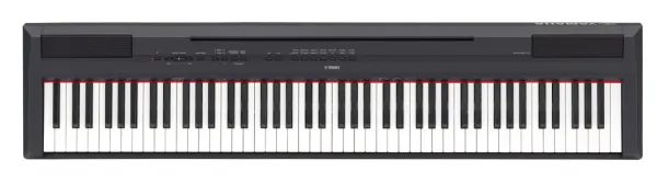 Yamaha P-115 Piyano