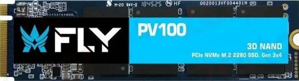 Fly PV100 512 GB (FPV1000512PR) SSD