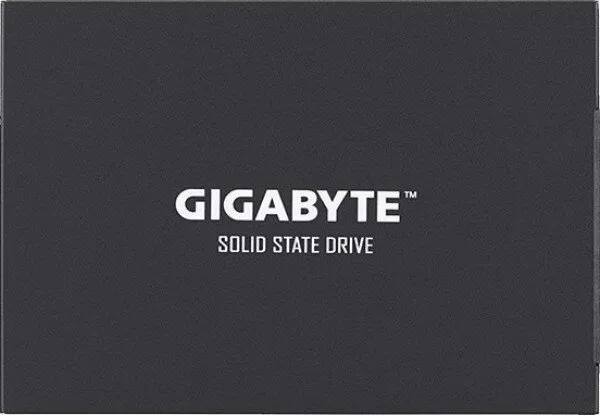 Gigabyte GP-GSTFS31256GTND 256 GB SSD