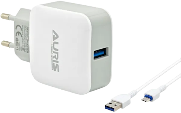 Auris ARS-CH09 Şarj Aleti