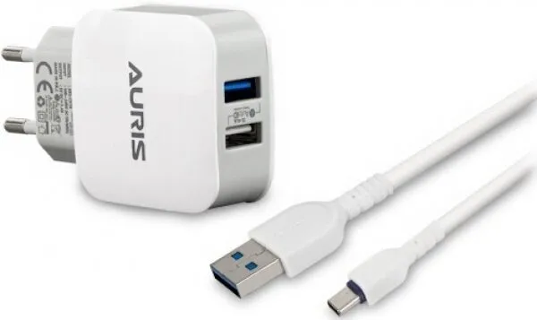 Auris ARS-CH18 USB Type-C Şarj Aleti