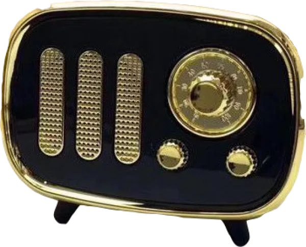 Platoon AL-11 Bluetooth Hoparlör