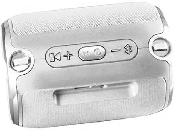 Platoon PL-4146 Bluetooth Hoparlör