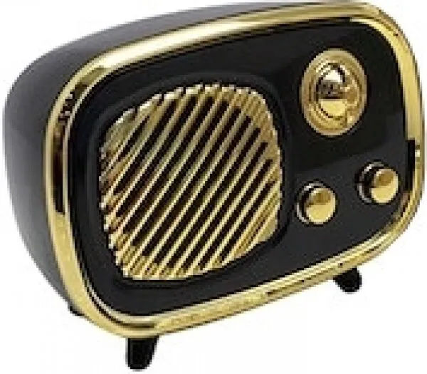 Platoon PL-4313 Bluetooth Hoparlör