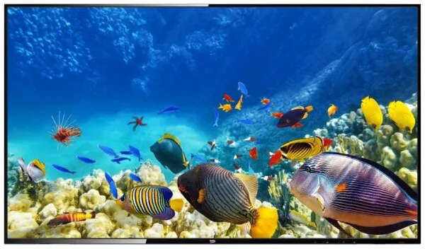 Beko B43K 680G Televizyon
