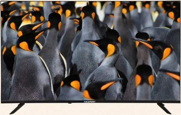 Blaupunkt BL50145G Televizyon
