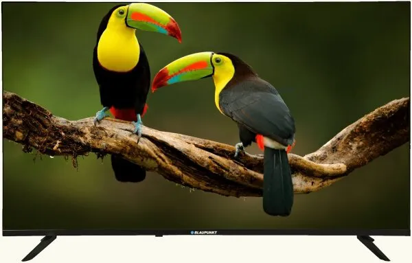Blaupunkt BL65145G Televizyon