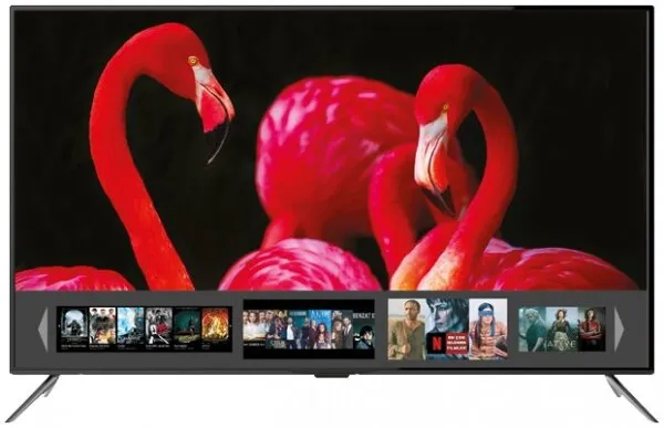 Dijitsu DJTV55S Televizyon