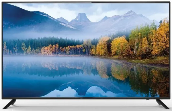 Profilo 55PA515EG Televizyon