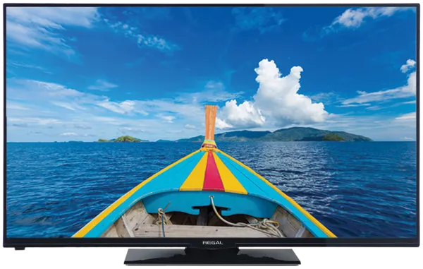 Regal 24R4015H Televizyon