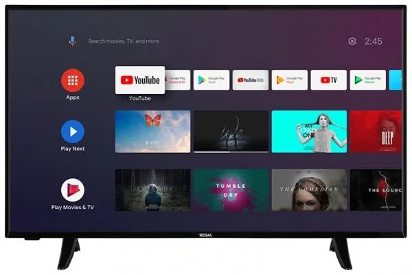 Regal 43R654FA9 (20275761) Televizyon