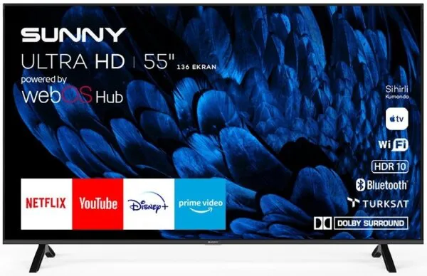 Sunny SN55FMN252 Televizyon