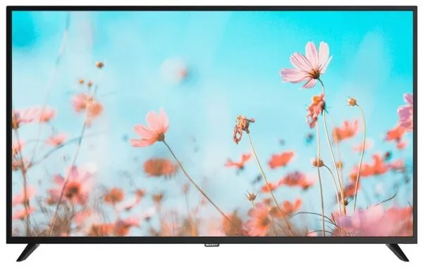 Sunny SN55UAL402 Televizyon