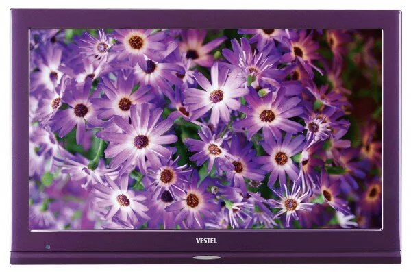 Vestel 22PF5021L Televizyon