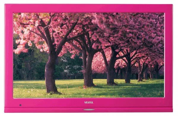 Vestel 22PF5021P Televizyon