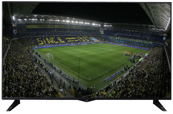 Vestel 43FB1907 Fenerbahçe Televizyon