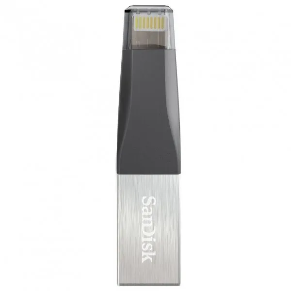 Sandisk iXpand Mini (SDIX40N-256G-GN6NE) Flash Bellek