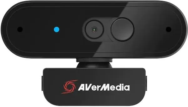 Avermedia PW310P Webcam