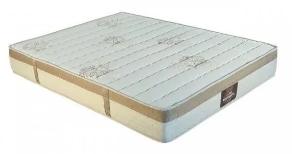 Otantik Regnum 90x190 cm Yaylı Yatak