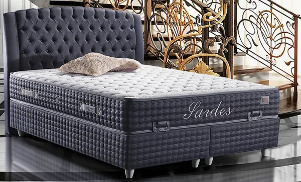 Vize Sardes 100x200 cm Yaylı Yatak